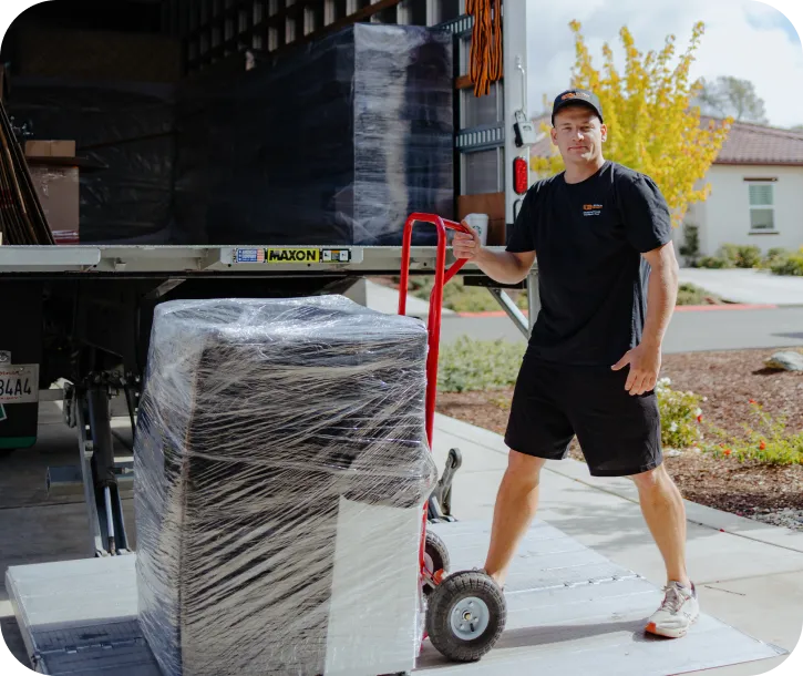 Movers carrying boxes